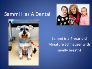 Sammi 1