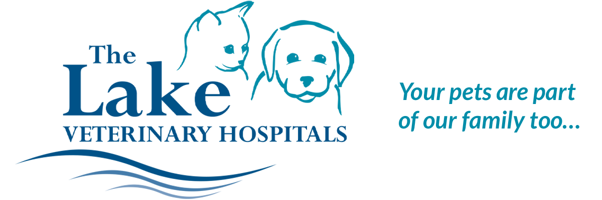 The Lake Veterinary Hospitals